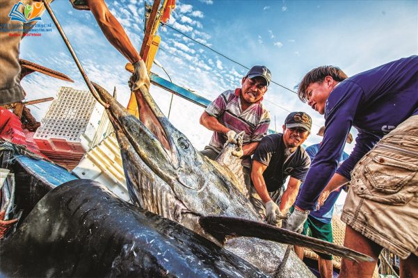 Làm sao để bài luận văn được đánh giá cao